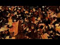 Relax Music for Autumn Mood. Music for Meditation and Sleep.