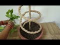 Money Plant Decoration Ideas || मनी प्लांट को घना कैसे बनाएं || Bushy & Fast  Growing Money Plant
