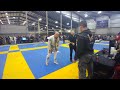 Russjiujitsu Match 15