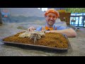 Blippi Is Feeding Animals At The Zoo |  Blippi Animal Videos For Kids | Toddler Learning Cartoons