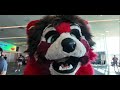 Anthrocon 2024 Con Video (Anthrocoaster)