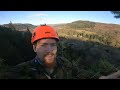 Hunt for the UK's TALLEST tree