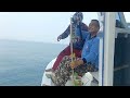 mancing spot Pulau Tunda dasaran || seru tarikan ikan Kuwe  Rambe || bonus ikan Mudun monster josss