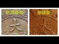 开水钱币：大清铜币中心鄂十文正面版别的区分