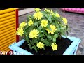 Recycling Plastic Chair old into Planter pot for Your Garden
