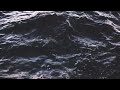Ambient Ocean Piano Sounds | 10 Hours | Black Screen | Sleep, Meditation, Study, and Relaxation