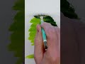 60 Second Watercolour Lesson. A Summer Tree