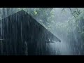 Rain Sounds 10 Hours: Rainstorm Sounds for Relaxing, Focus or Deep Sleep | Nature White Noise
