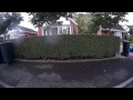 FPV in the front garden - pruning the trees!