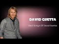 ♫ David Guetta ♫ ~ Greatest Hits 2024 Collection ~ Top 10 Hits Playlist Of All Time ♫