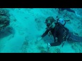 Living as a Cruise Ship Musician #4 : Scuba diving Honolulu, Hawaii