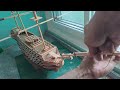 Building HMS Victory model from scratch