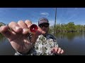 MOST Anglers Don’t Fish A POP-R Correctly!!  Try This PROVEN Retrieve!