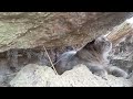 Kitty in the Cave / Timelapse