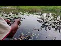 PENUH KEYAKINAN,,,!!! mencoba mancing di sini#fishing #mancingmania #mancingikan