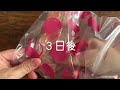 【100均】セリアSeria 購入品紹介/天然素材の雑貨たち/色のきれいな麻ひも/梨の木のオイル櫛【商品紹介/シンプルな暮らし】