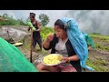 Paddy Rice Farming in Nepali Village || Mountain lifestyle @lajimbudha @ruralnepalquest