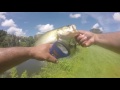 4 lb bass bit in half