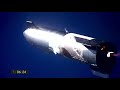 SpaceX Starship SN9 soars in test flight, has explosive landing