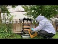 『ニホンミツバチ』⑤様子がおかしい⁉︎原因は…