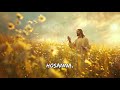 Hosanna (Lyrics) ~ Hillsong Worship || Top Christian Songs 2024 🙏