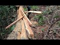 4x4x12 house pole cutting tutorial for those who are just learning to cut wood belah kayu#stihlms250