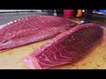 500km Chase！Huge Bluefin Tuna Catching, Bluefin Tuna Cutting Master, Sashimi/500公里的進擊！黑鮪魚捕捉, 黑鮪魚切割大師