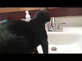 sink drinks