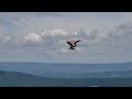 Mie Yoshinaga soaring a Falcon at Big Walker Mtn, VA