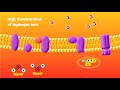 The Electron Transport Chain Explained (Aerobic Respiration)