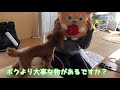 ほのちゃんの1番になりたい