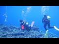 Miyako island scuba diving