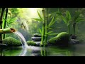 Healing Piano Melodies | Relaxing Study Music for Stress Relief and Meditation