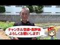Tips for infinite cultivation of perilla and basil taught by Japanese farmers