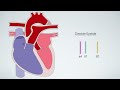 Heart sounds for beginners 🔥 🔥 🔥 S1, S2, S3 & S4  #heartsounds