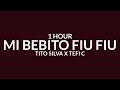 Tito Silva x Tefi C - Mi Bebito Fiu Fiu (Letra) [1 Hour] 