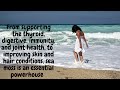 Sea Moss Amazing Health Benefits