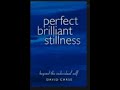 Perfect Brilliant Stillness - David Carse