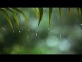 Relaxing Piano Music & Soft Rain Sounds • Background Sleep Music | Raindrops (Extended)