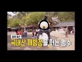 사랑스러운 펭수♡