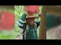 HARVESTING CACAO | NAPAKA MURA NAMAN LIMANG PESO LANG ISA😱