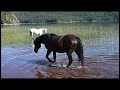 Parque Nahuel Huapi