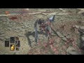 Dark Souls 3: Good way to farm ringed knights