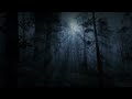WEREWOLF AMBIENCE | 3 HOURS OF SPINE CHILLING AMBIENCE | FOR D&D, STORYTELLING, WORK, STUDY