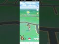 catching pokemon with a team sierra on battle