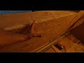 Début de fabrication des murs ossature bois #Ep2