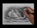 How to Draw a Swan | Amazing Scribble Art Drawing with a Bic Pen