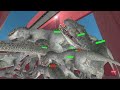 Who Will Overcome This Challenge - Indominus Rex Corridor | Animal Revolt Battle Simulator