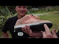 100 Kickflips In Nike SB Pink Pig Dunks