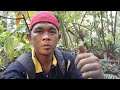 Seru mancing belut di rawa